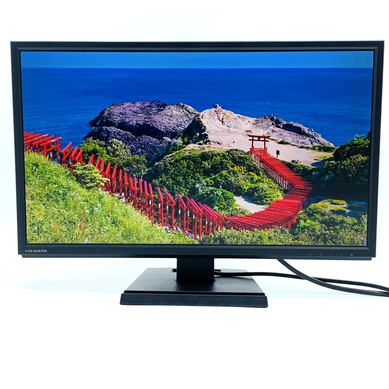 中古モニター】21.5インチ メーカー I-O DATA 型番 LCD-AH221EDB 入力