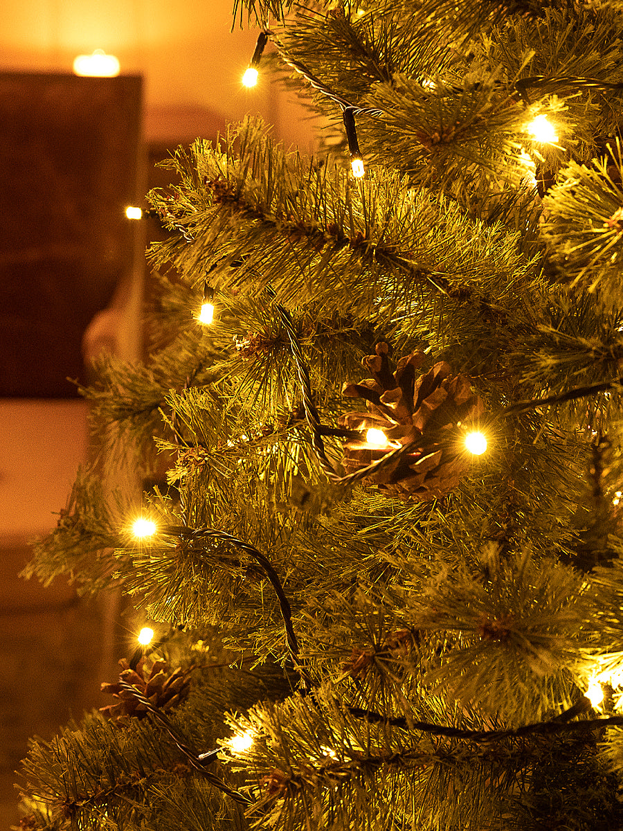 イルミネーション コンセント式 【100LED / 10m】【200LED / 20m】 柊