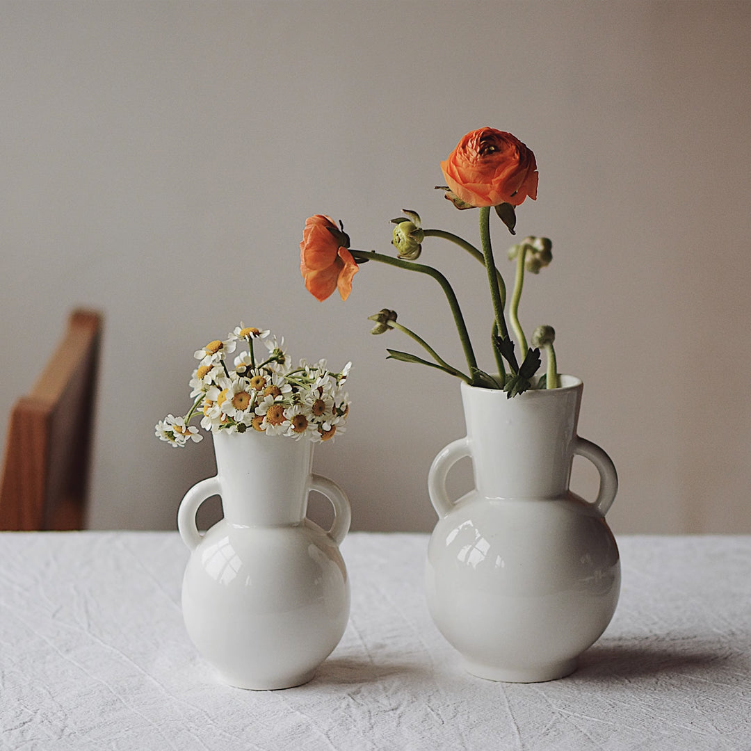 acacia0720230719-8.jpg?v=