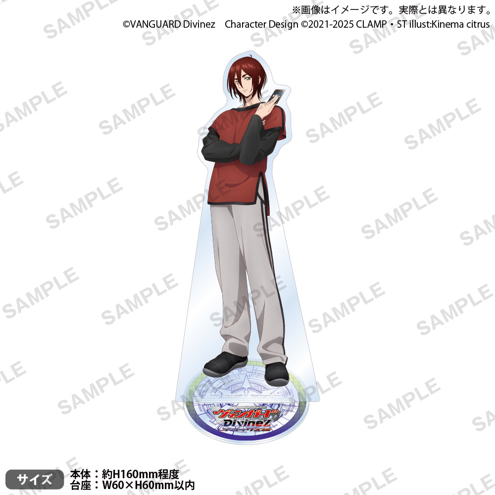 VGDivinezDX_AS_2_ari.jpg?v=