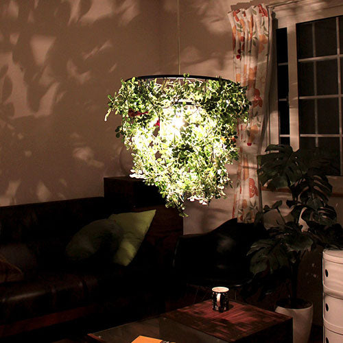 ミニ フォレスティ [Mini Foresti] – BeauBelle本店