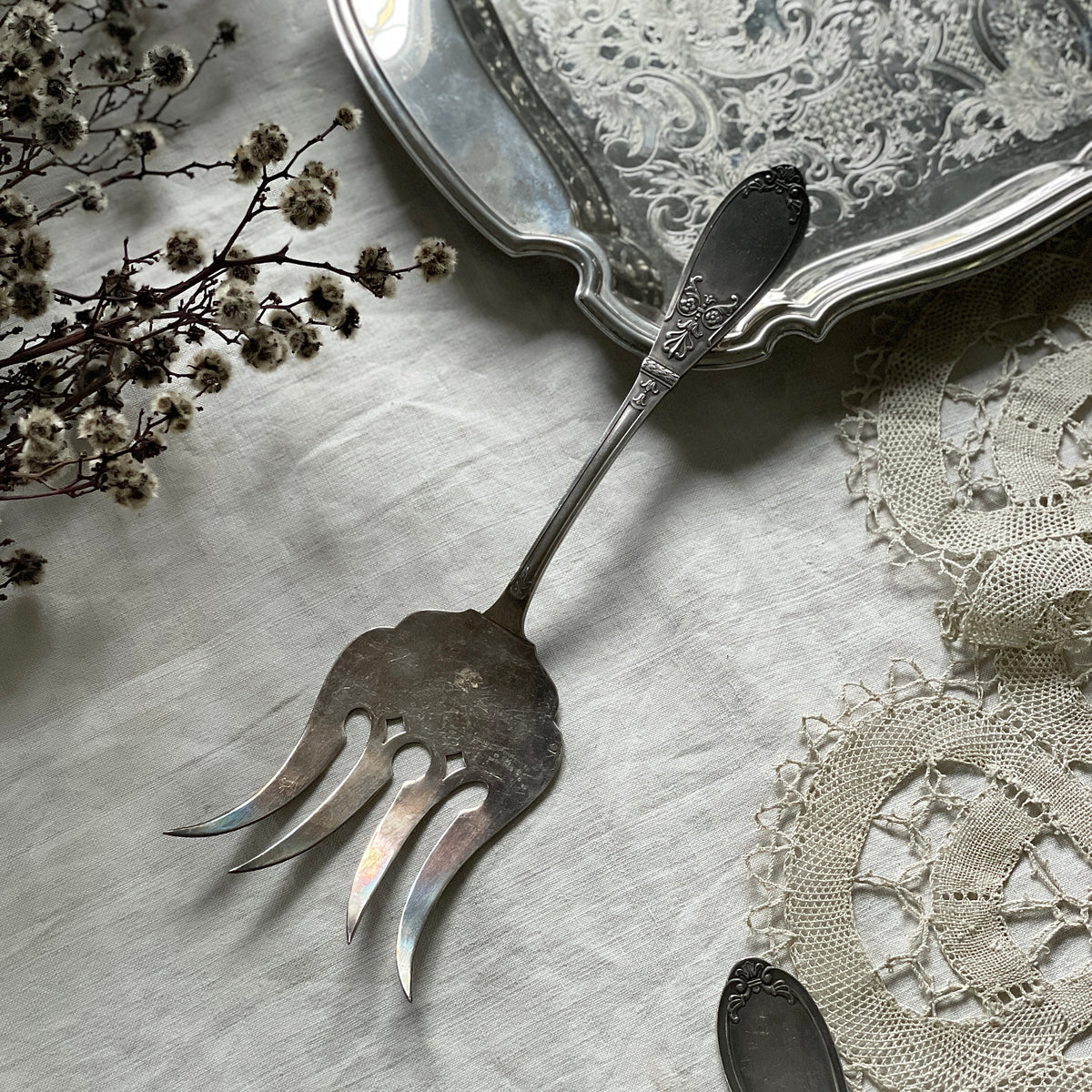 IMG_8013_1200x1200.jpg?v=