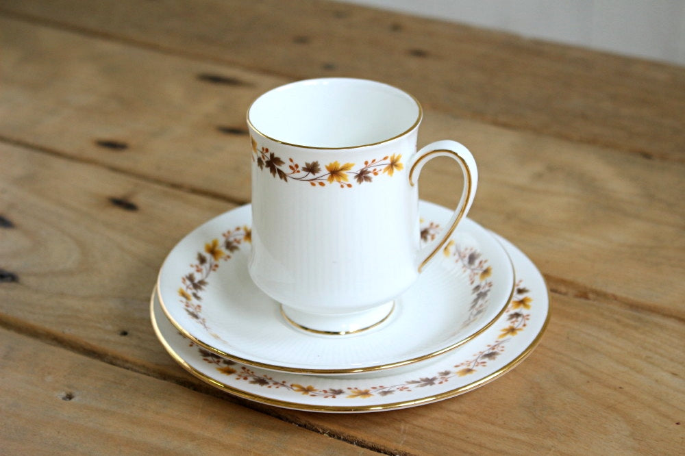 オレンジとブラウンの植物の絵柄が素敵なトリオ、カップ&ソーサー