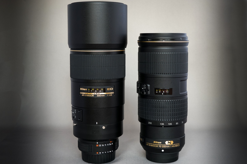 Nikon AI AF-S NIKKOR 300mm f/4D IF ED ◇ レビュー ◇ | デジタル