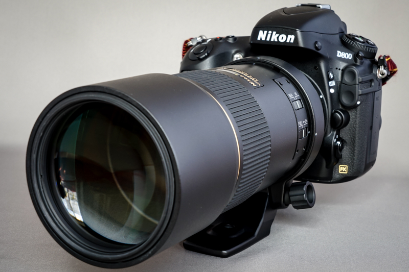 Nikon AI AF-S NIKKOR 300mm f/4D IF ED ◇ レビュー ◇ | デジタル