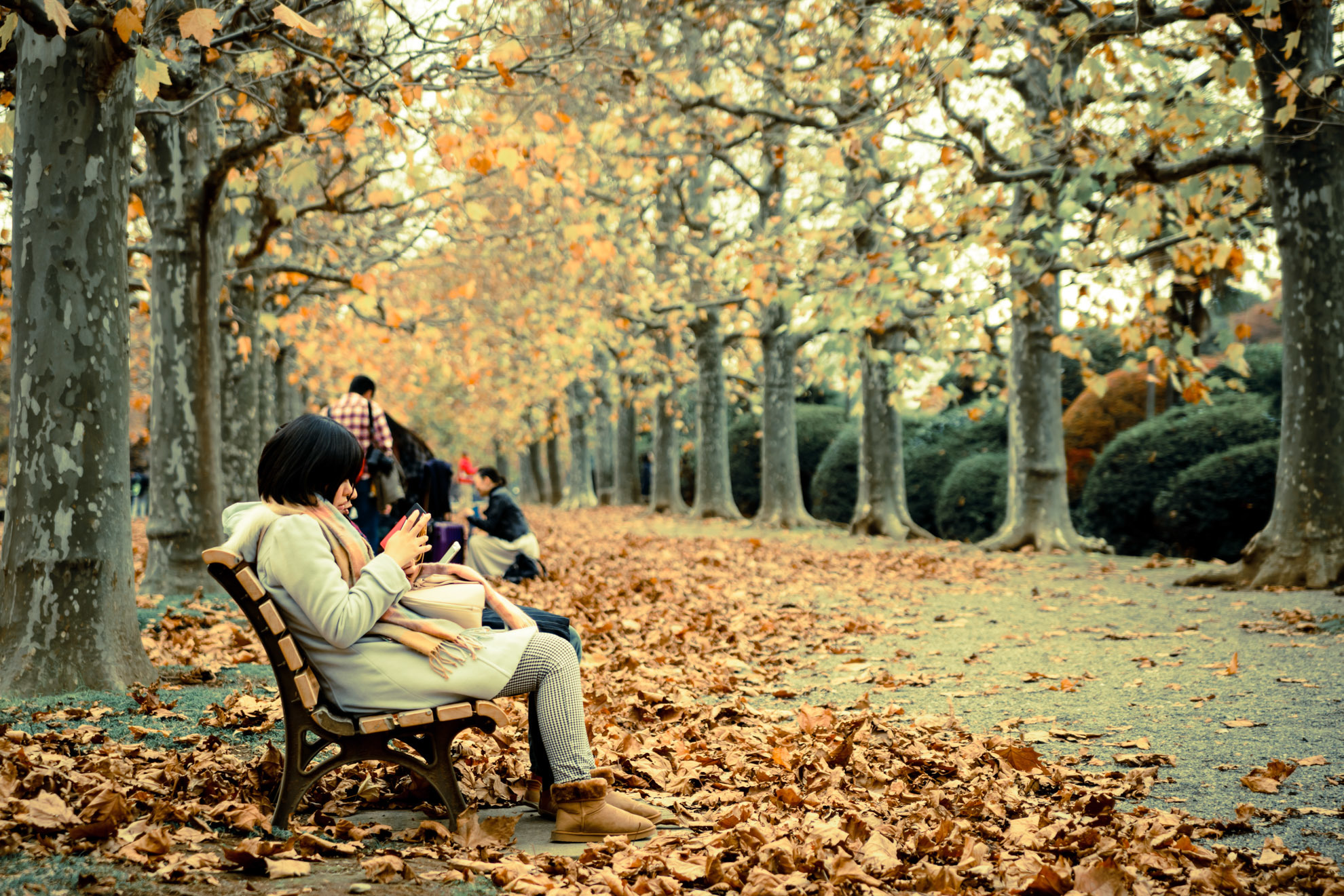 Tamron SP AF28-75mm F/2.8 XR Di LD Aspherical [IF] MACRO（A09