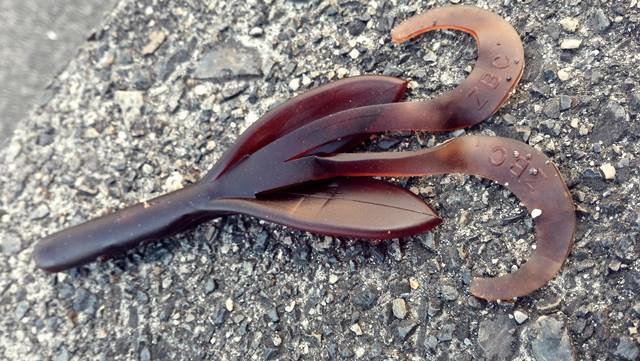 D] ちょっとマニアックな、ワームの素材と温度の関係 | DeeeP STREAM