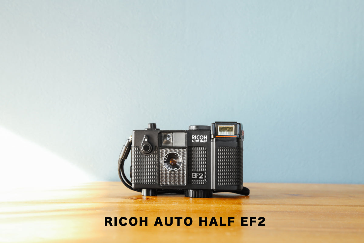 IMG_9565_1200x1200.jpg?v=