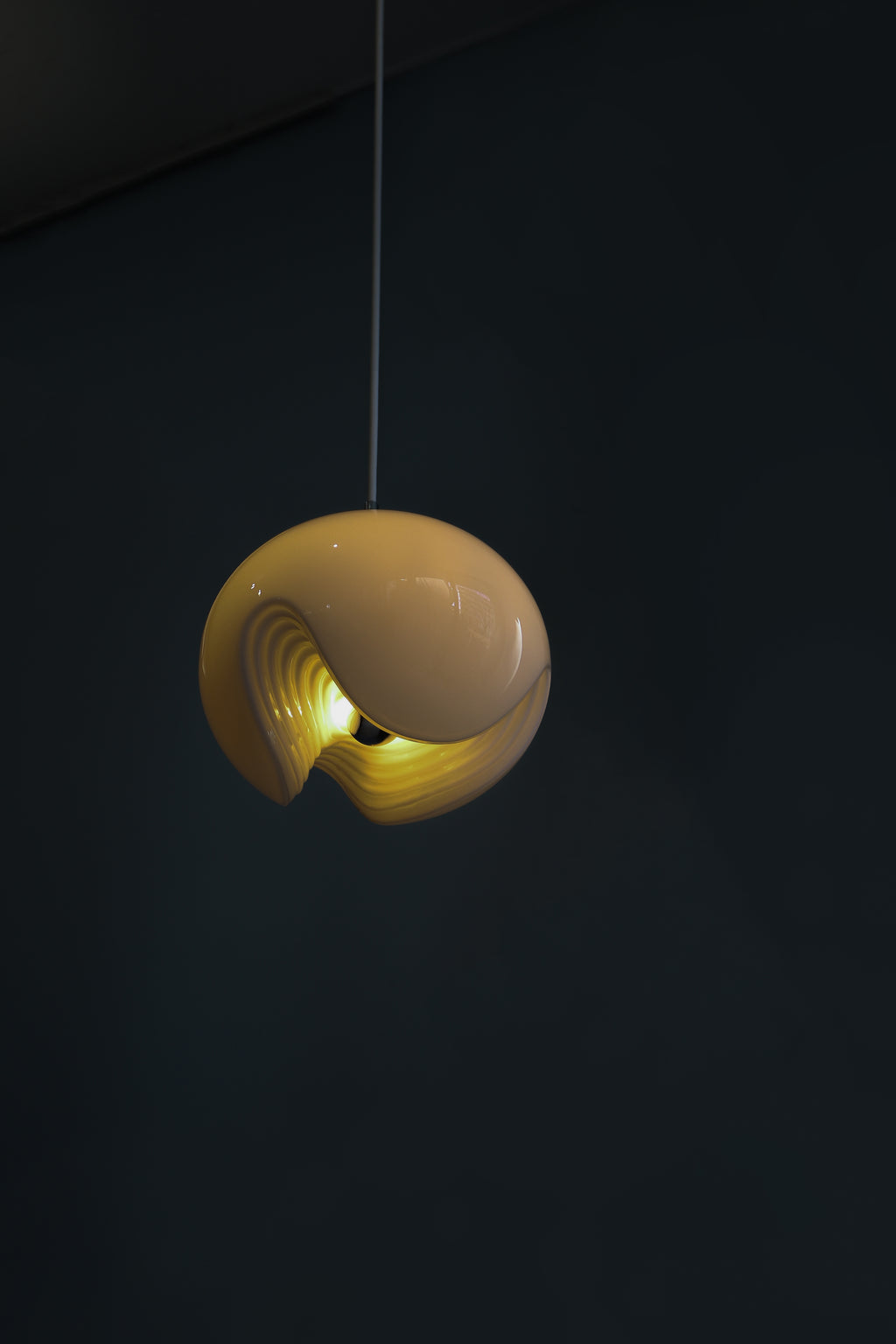 2IMG_4141_1024x.jpg?v=1672564990