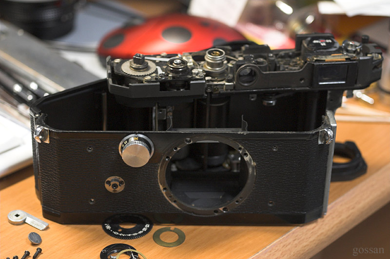 Canon VL: ごっさん居眠り中