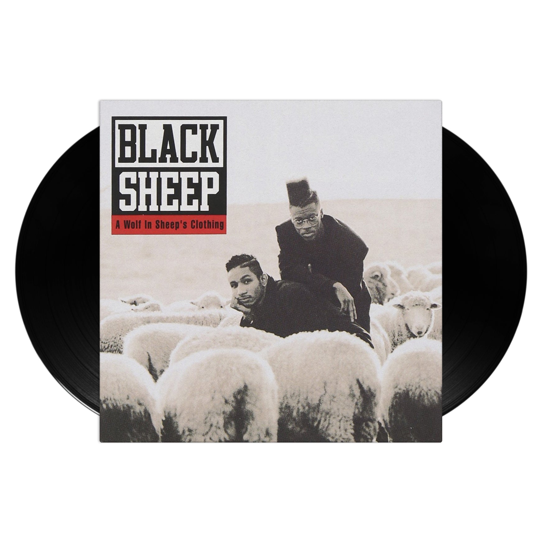 BLACKSHEEP_00.jpg?v=1625233539