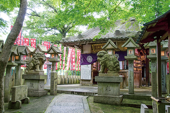 寅の年 寅の日 寅の刻 信ずべき 貴ぶべき山｜祈りの回廊 2022年春夏版