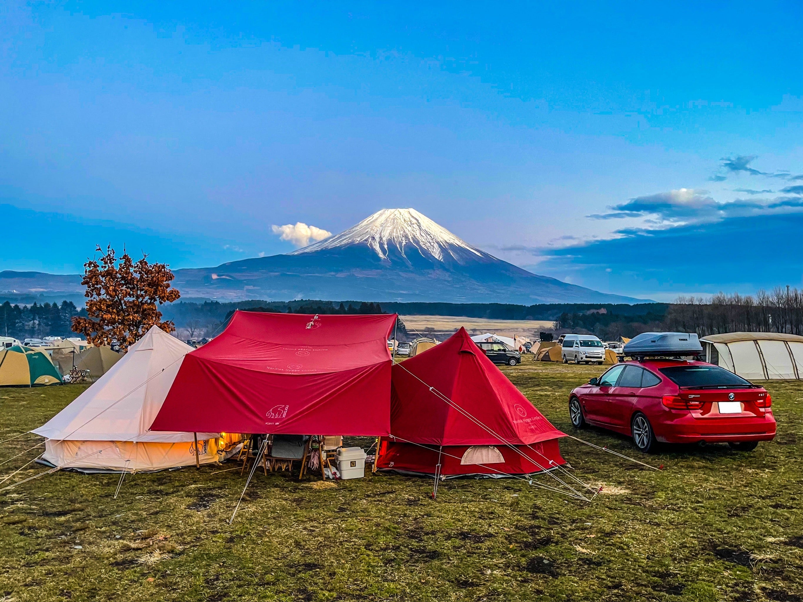 11F4DDB9-ED1D-4AFC-8E24-