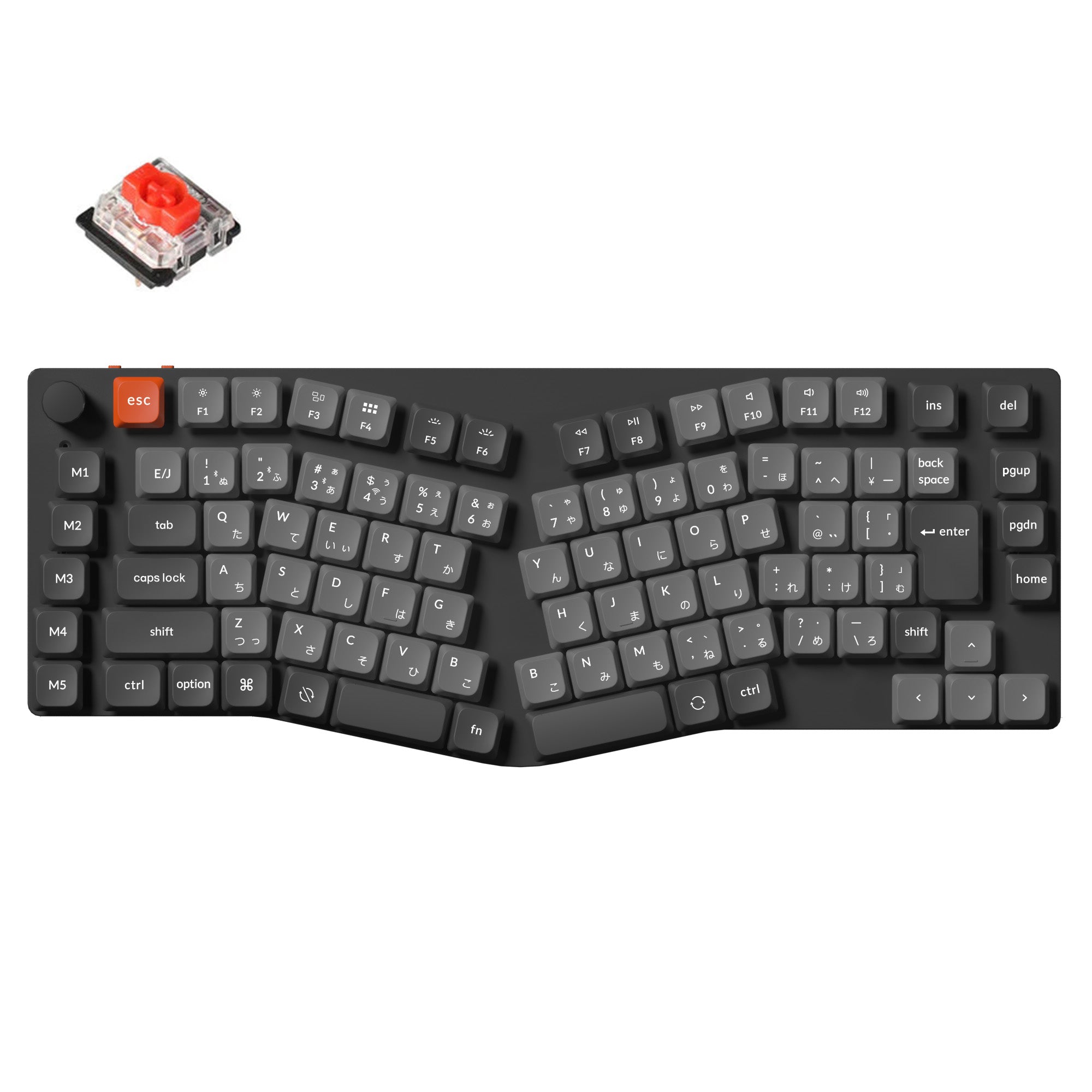 1769663693820.jpg?crop=center&