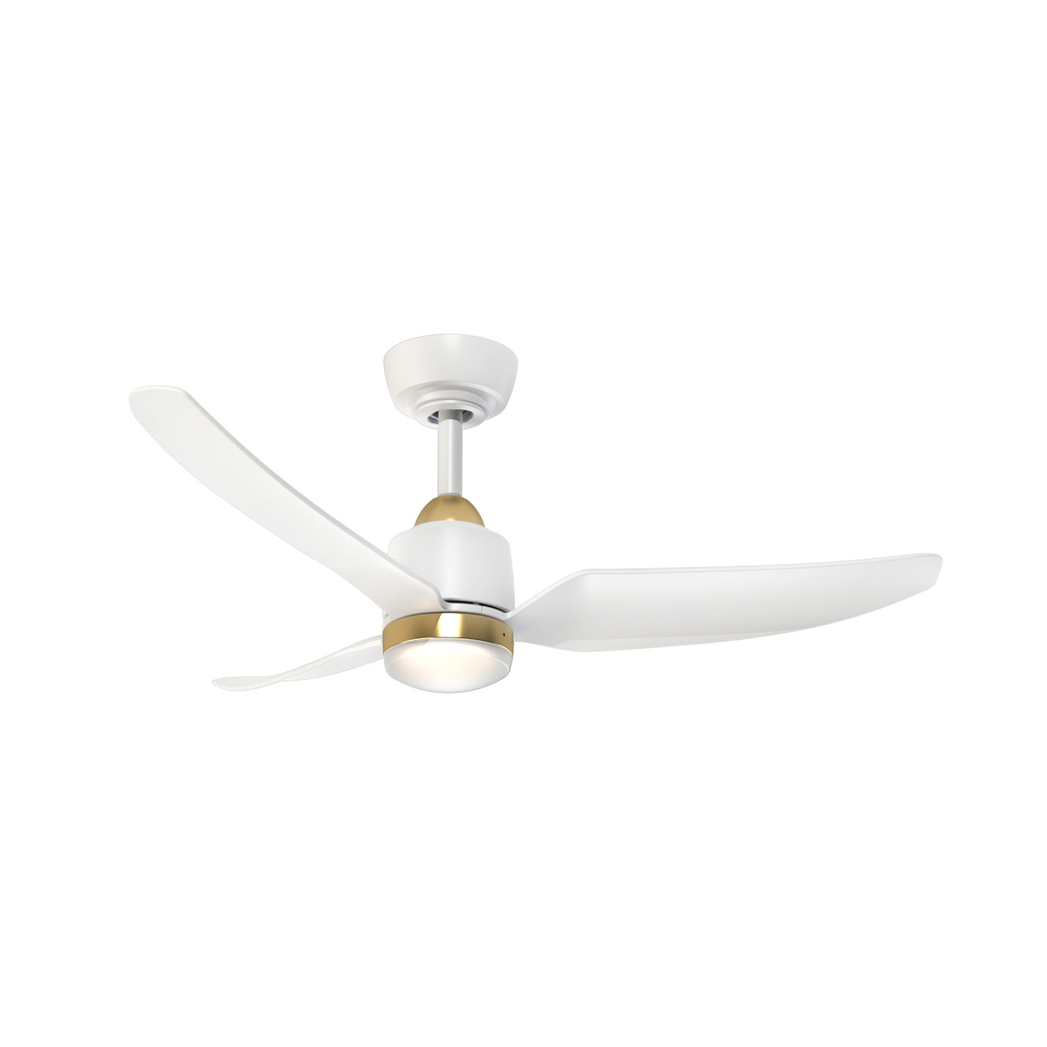 LC006429_WB_MAIN_1500.jpg?crop