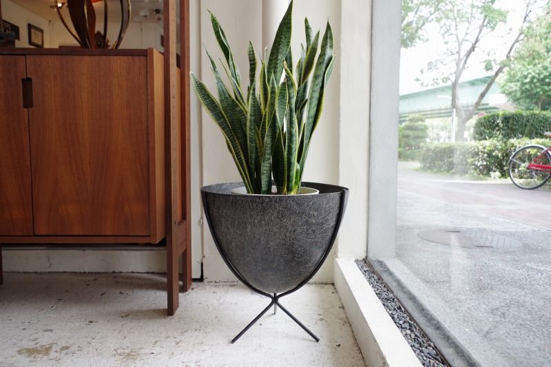 10周年イベントのバレットプランター特集！ : ミッドセンチュリー