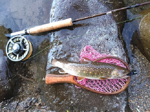 TMC（ティムコ フライロッド）、インファンテNSFの813-6と814-6はご