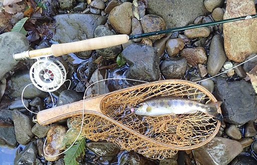 WINSTON（ウィンストン フライロッド）、エアー2の863/4は凄い