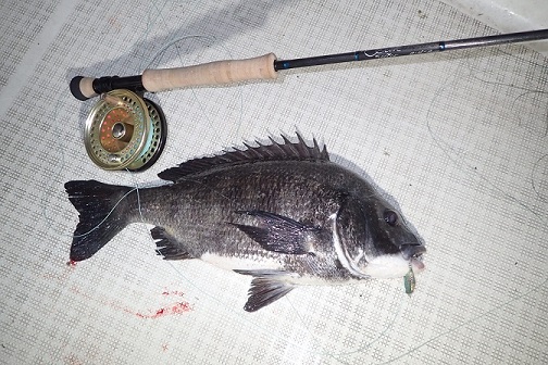 SCOTT（スコット、フライロッド）、セクターS848/4が入荷。 - 道具屋日記