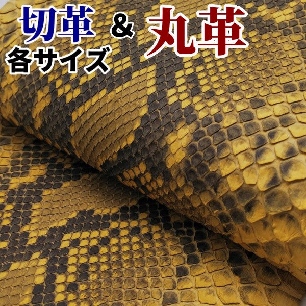 ヘビ革/キャメル（ベージュ・ラクダ色・camel）の革素材を販売