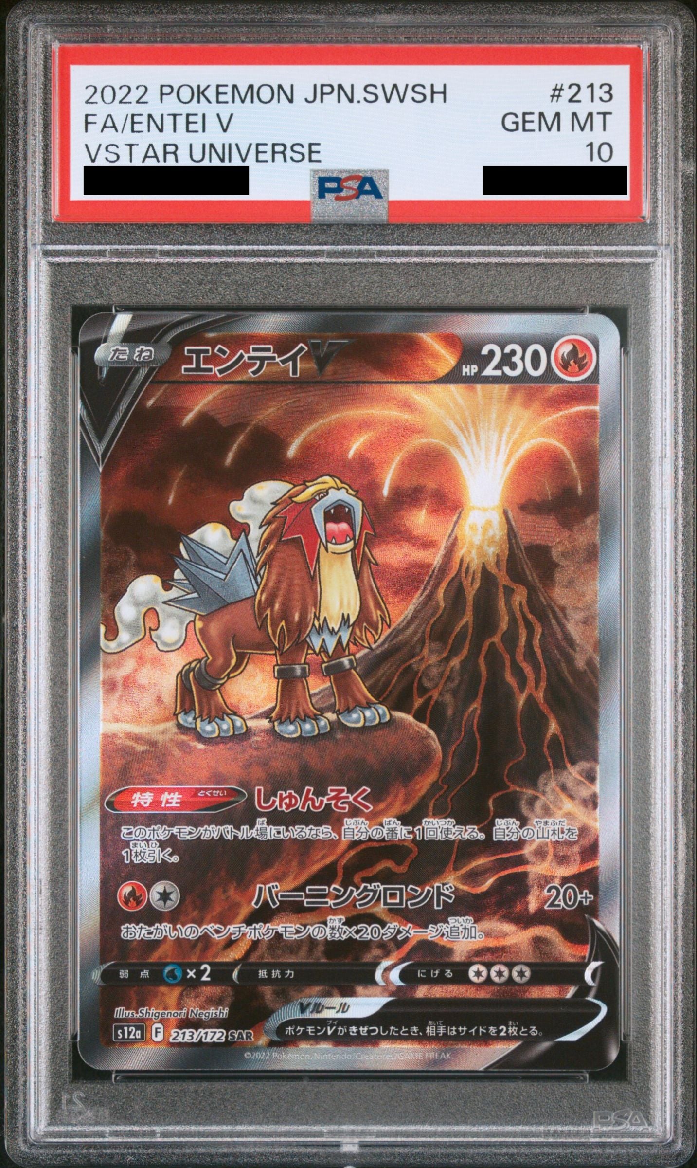 Pokémon card PSA 10 Entei V 213/172 VSTAR Universe JAP – Pika