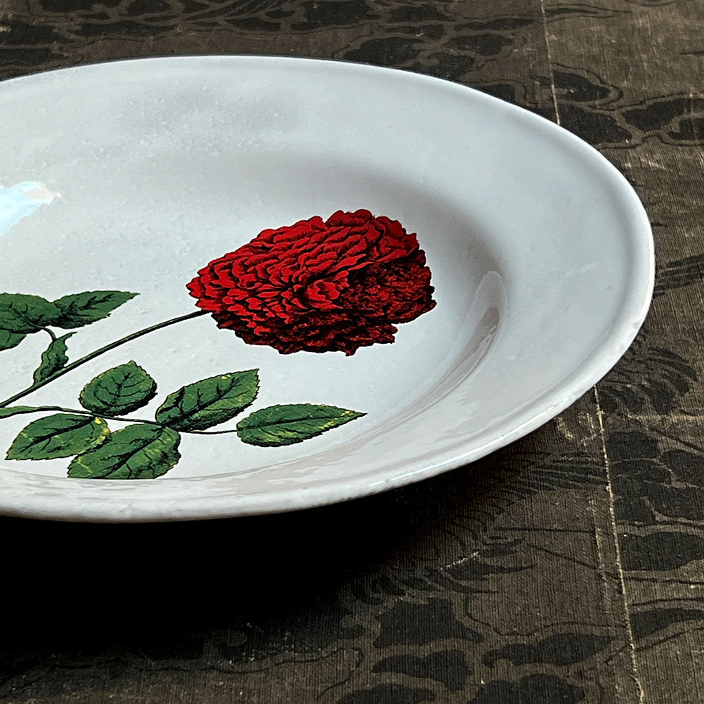 Astier de Villatte x John Derian Red Rose Soup Plate – PATCH NYC