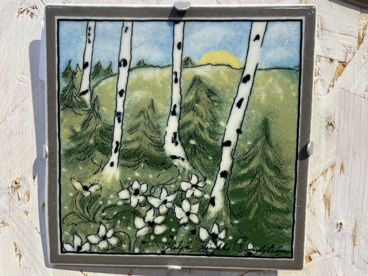 s-IMG_5436_1200x1200.jpg?v=