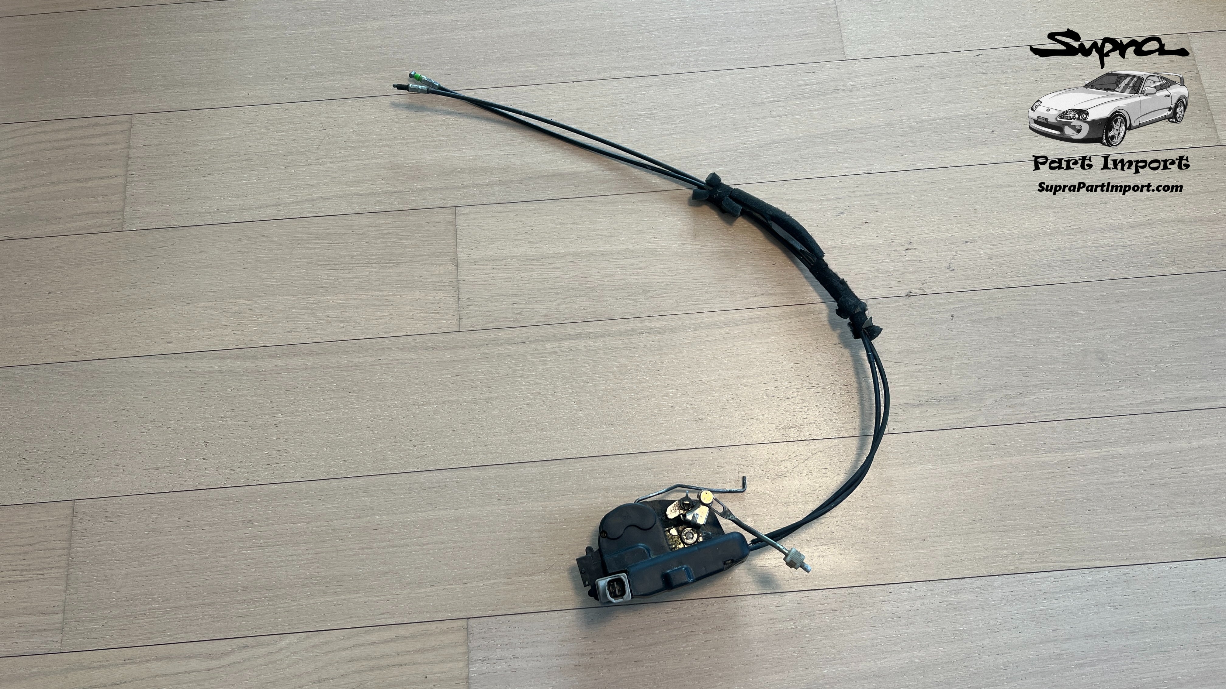 IMG_0705.jpg?v=1714941413