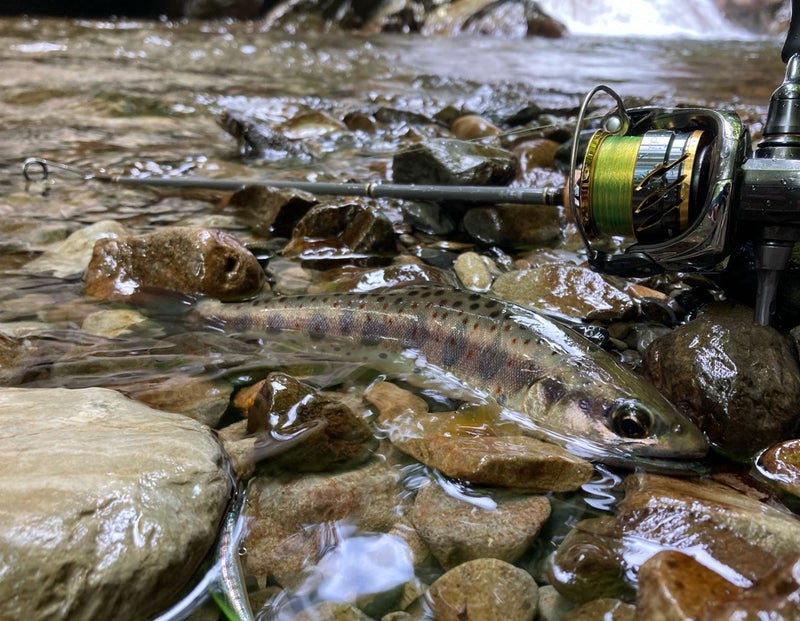 ファインテール462UL(グラス)レビュー＆インプレ！グラス・カーボンを