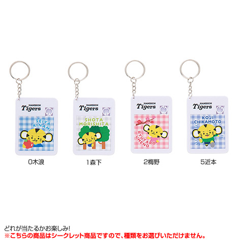 全12種）シークレットスライドパズルキーホルダー - 阪神タイガース