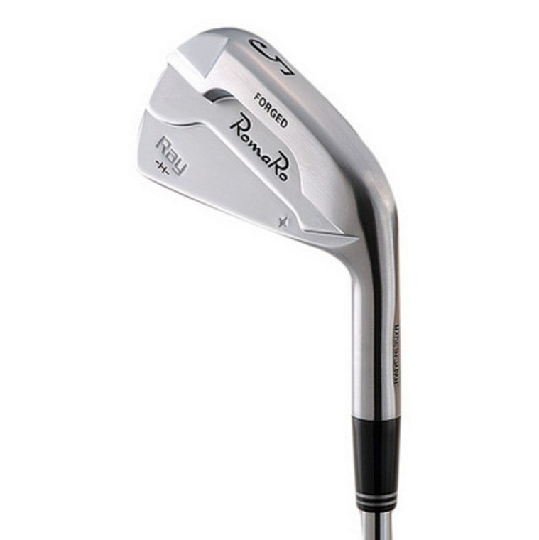 レイ H アイアン ツアーセレクト（6本セット） NS PRO 950GH(アイアン