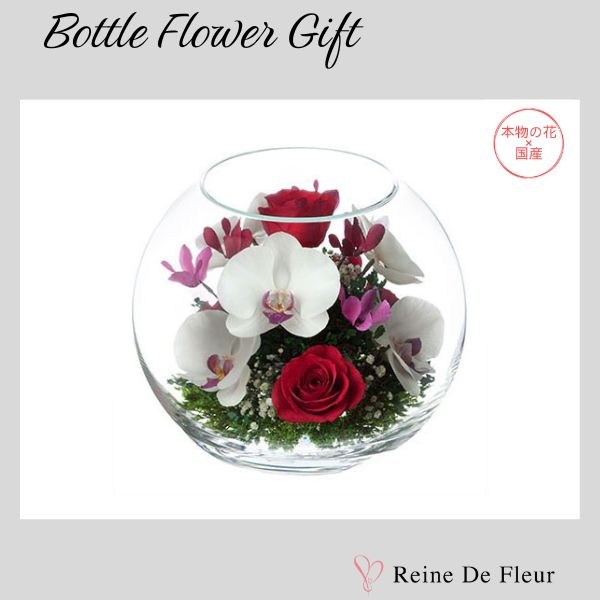 Bowl L (B-L) ボトルフラワー – レンデフロール