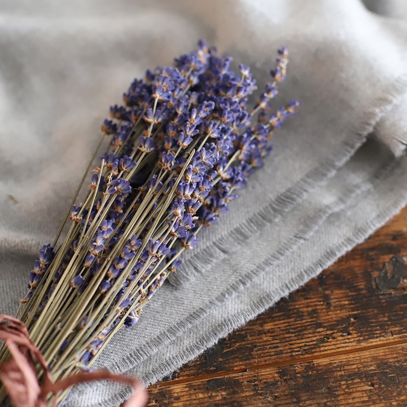 ラベンダーのドライフラワーの楽しみ方】作り方から飾り方まで – 土と