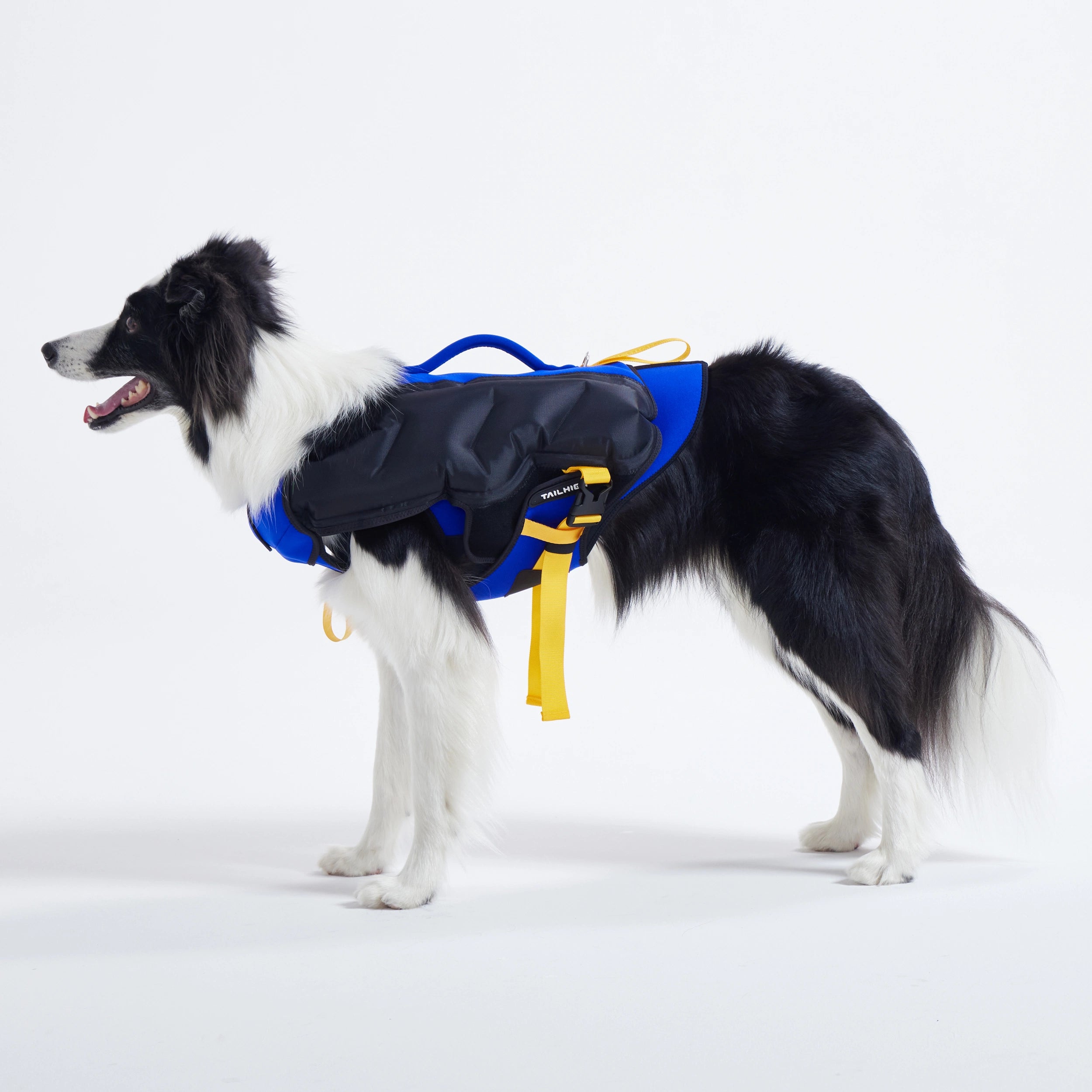 ライフジャケット Inflatable Wetsuit – TAILHIGH