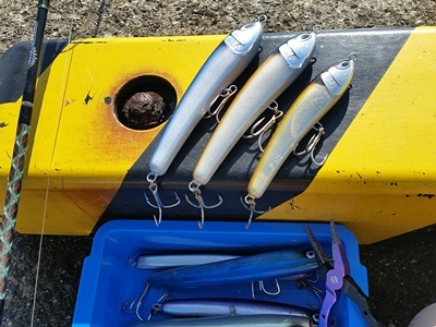 来春発売予定！ 魚じゃらし工房さんとのコラボルアー『TT.Eagle