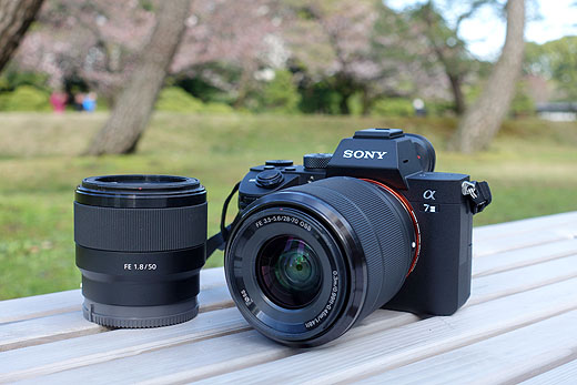 これで全てが分かる！ミラーレス一眼