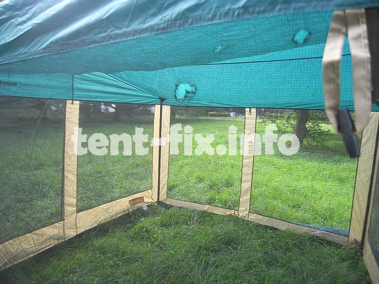 コールマン スクエアスクリーン340 (#9)