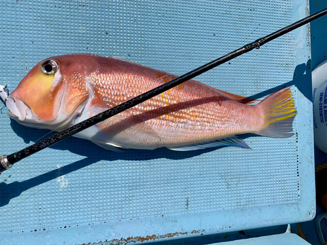 リアクション一つテンヤ最高峰ロッド「VRK」シリーズ：ラインナップ