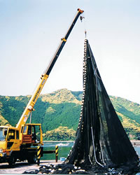 石田製鋼 タストン ハイクレロープ 9ミリ 200メートル巻 TASTON -ハイ