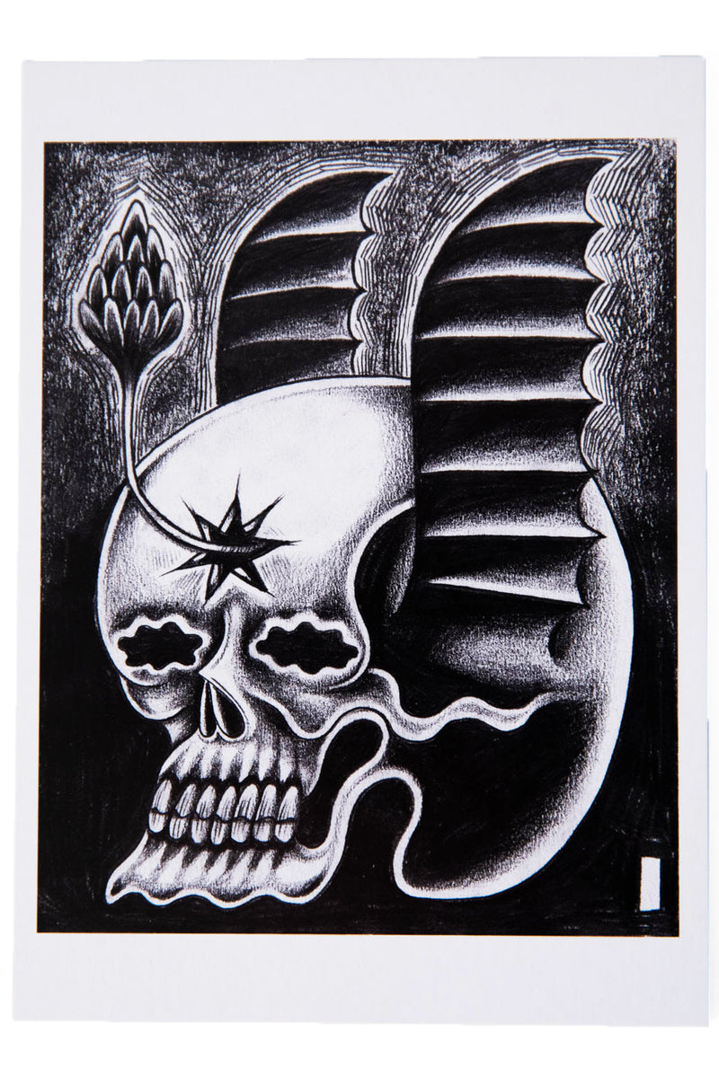 DANIEL HIGGS NEW DOOMSDAY BONNET | Postcard Set – THESE DAYS