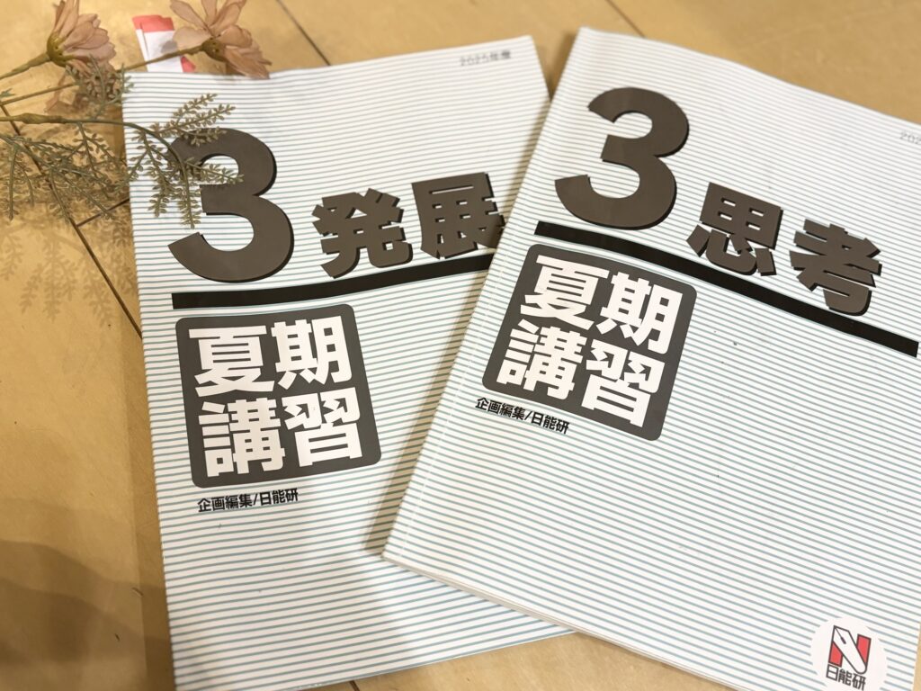 3年夏期講習】日能研の日程カリキュラムと費用！テストの結果は