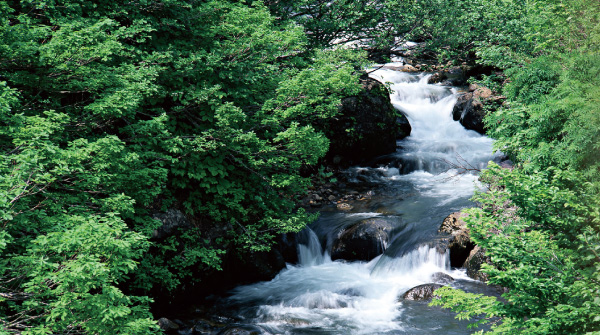 渓流 | 製品カテゴリー | (株)宇崎日新（NISSIN）| 磯・船・渓流などの