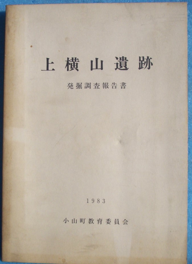 遺跡発掘調査報告書 ―古書・古本―渡井書店
