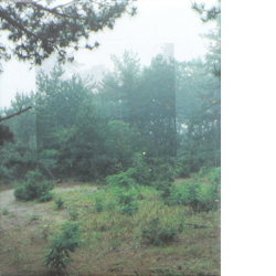 螺旋海岸｜notebook / RASEN KAIGAN | notebook - AKAAKA