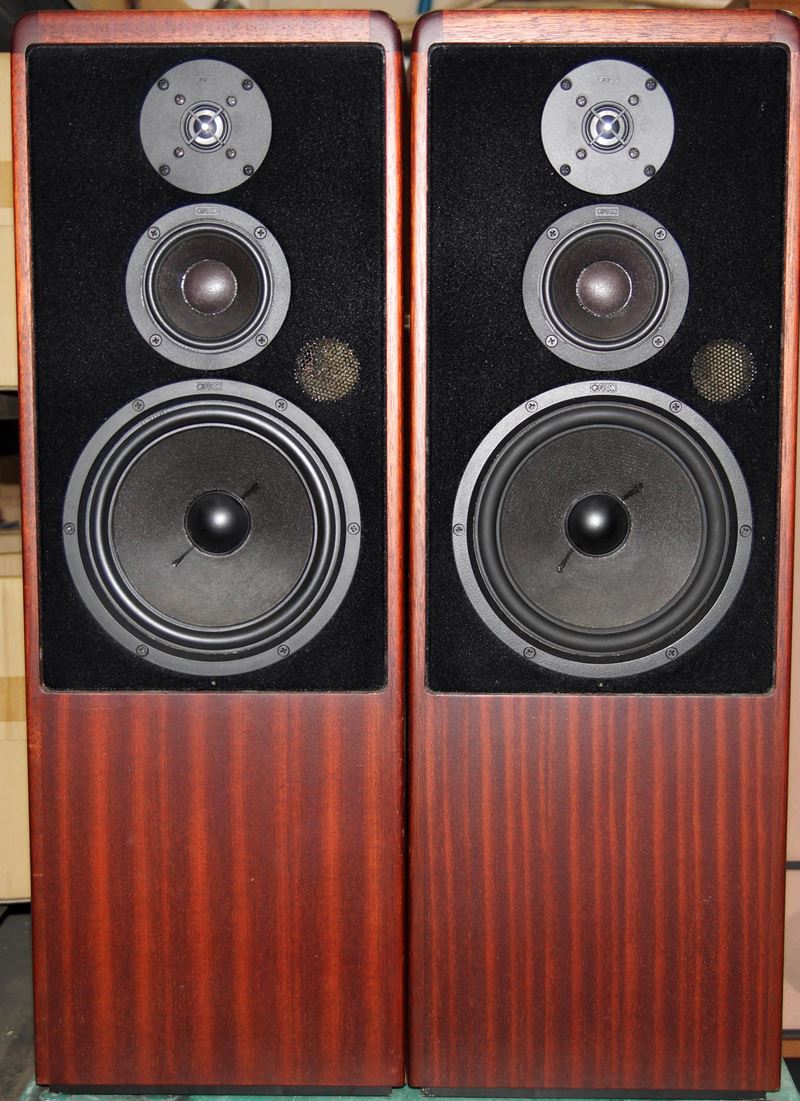 カントン CANTON CT80 スピーカー