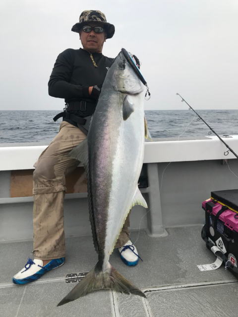 カーペンター ハヤブサ