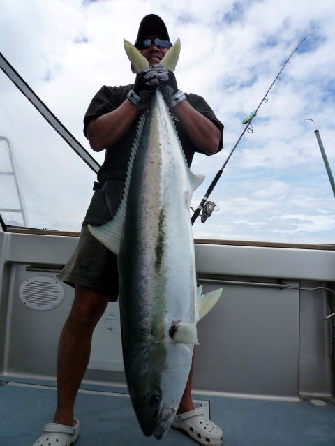 カーペンター BLC84／18 ブルーチェイサー