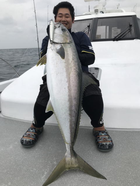 カーペンター BLC84／18 ブルーチェイサー