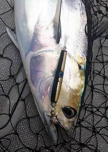 カーペンター BLC86／10 ms マイクロスナイパー ブルーチェイサー