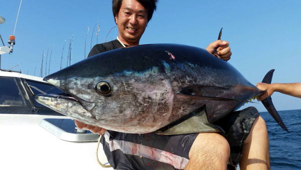 カーペンター BLC83／16 ブルーチェイサー